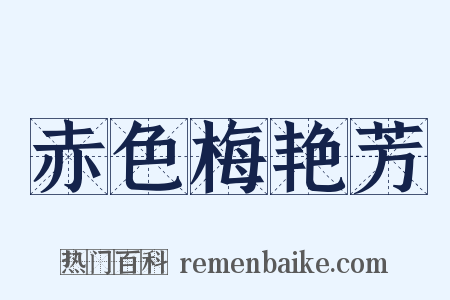 赤色梅艳芳是什么意思的图片
